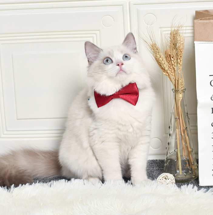 義烏市中欣貿(mào)易有限公司