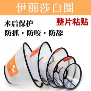 伊麗莎白圈狗狗貓項圈可OEM/ODM代工