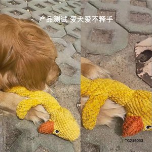 邢臺(tái)達(dá)文箱包有限公司