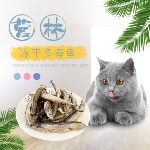 大號多春魚帶籽貓咪零食OEM/ODM代加工