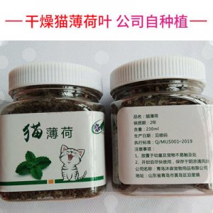 寵物玩具茂薄荷球薄荷棒貼牌OEM/ODM