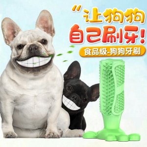 Dog toothbrush狗狗磨牙棒可OEM/ODM代工