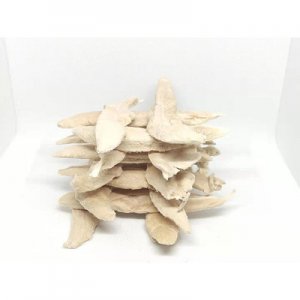 上海巍偉寵物用品有限公司