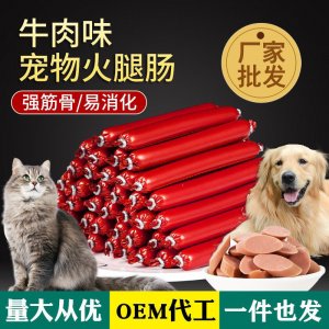 臨沂美爾特網(wǎng)絡(luò)科技有限公司