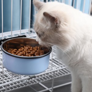 寵物碗狗碗狗盆狗喝水食盆OEM/ODM代加工