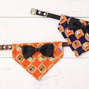 小熊寵物三角巾OEM/ODM定制代加工