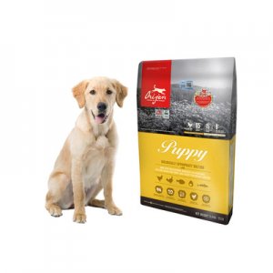 杭州它嗅寵物用品有限公司