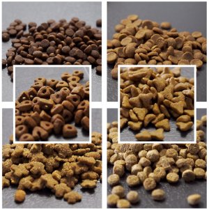 博仕寵物食品（淮安）有限公司