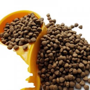 聊城市厚德寵物用品有限公司