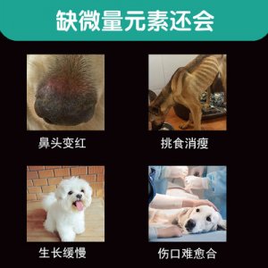 寵物狗狗貓咪微量元素貼牌定制代加工