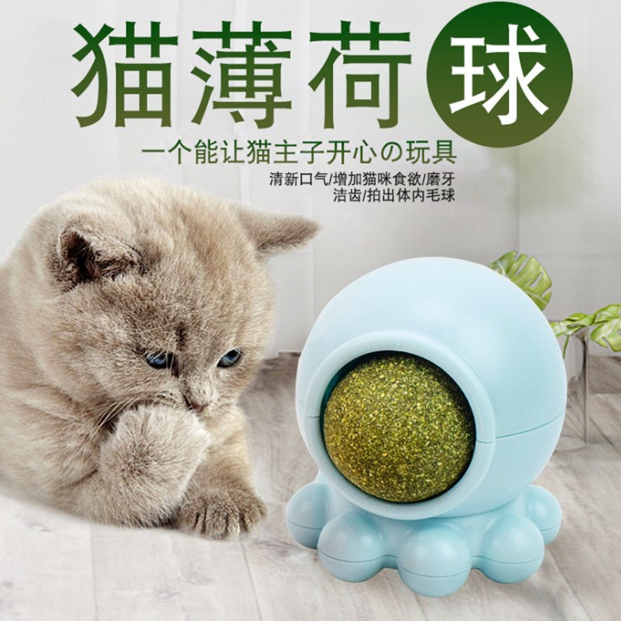 煙臺(tái)派滋汪特寵物用品有限公司