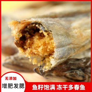 梓鑫凍干多春魚貓  500g