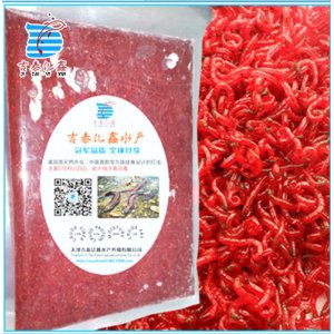 億鑫 冰凍紅蟲(chóng) 500g