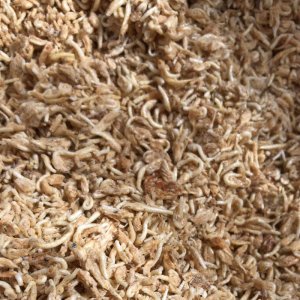 億鑫 凍干珍珠蝦觀賞魚(yú)飼料