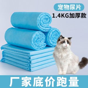 寵物狗狗尿片尿不濕