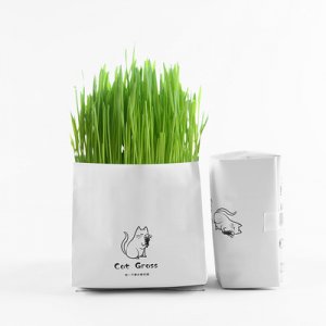 義烏市喵迦寵物用品有限公司