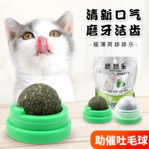 南京小懶貓寵物用品有限公司