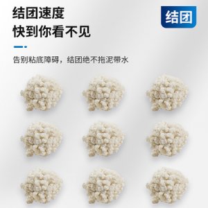 山東寵哆哆寵物用品有限公司