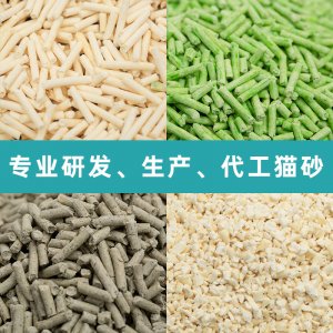 驚喜貓?zhí)烊恢参镓埳霸?、綠茶