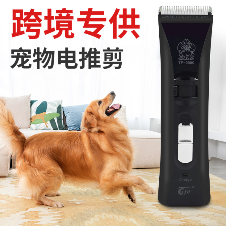 東莞市特鋒電子有限公司