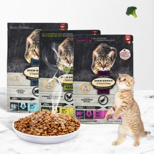 上海團寵科技有限公司