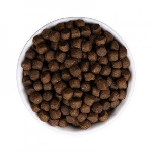 大象(菏澤)寵物用品有限公司