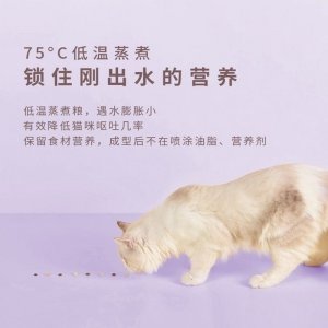 石家莊群正貿(mào)易有限公司