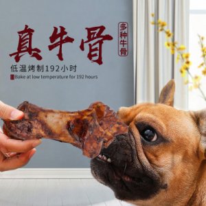 科尼寵物(廣州)有限公司