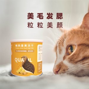 深圳市葫蘆寵物科技有限公司