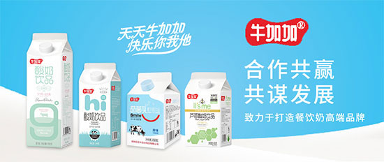 牛加加酸奶飲品1.jpg
