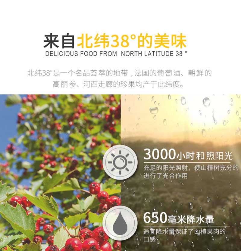 栗源冰糖山楂80g簡(jiǎn)介_08.jpg