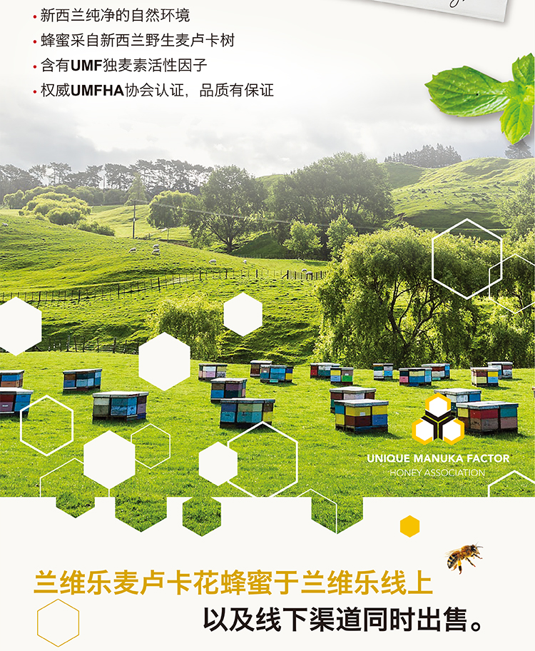 蘭維樂麥盧卡蜂蜜介紹3.png