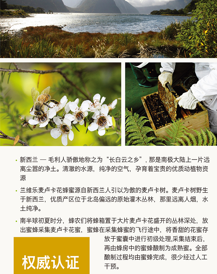 蘭維樂麥盧卡蜂蜜介紹5.png