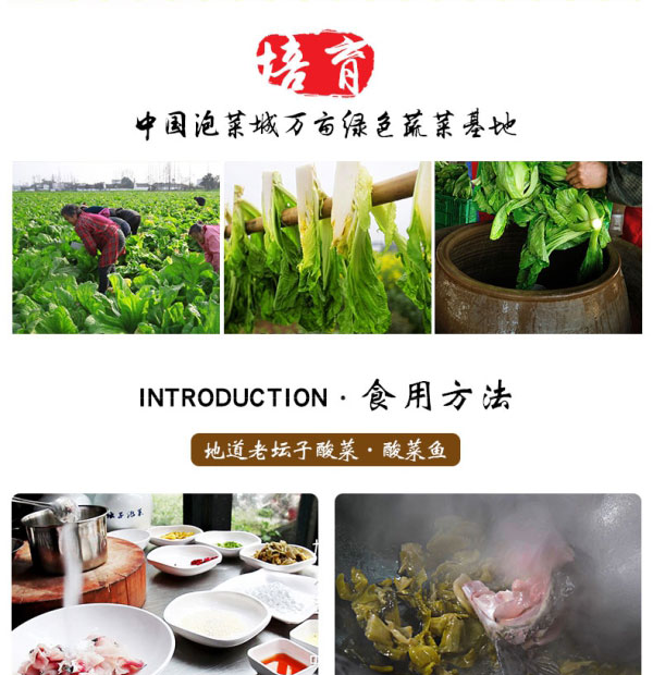 老壇子老酸菜免洗免切簡介_06.jpg