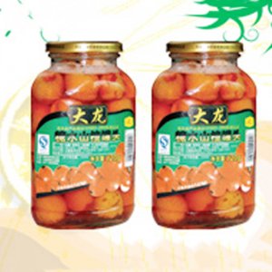 大龍?zhí)撬介揞^