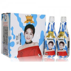 椰領(lǐng)導(dǎo)椰子汁1.25L