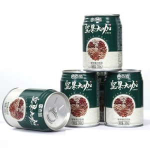 吉遠堅果大咖植物蛋白飲品罐