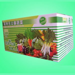 康特?zé)o公害蔬菜箱裝