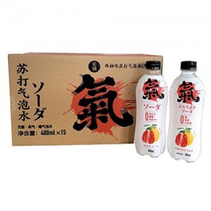藍希西柚味蘇打氣泡水480mlx15瓶