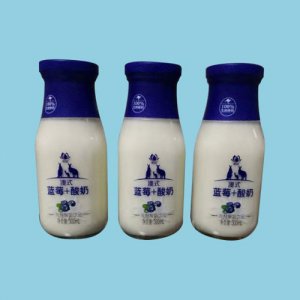 明姑藍(lán)莓+酸奶