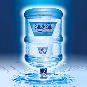 汪之洋純凈水17.8L