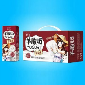 五字隆羊酸奶炭燒味禮盒裝