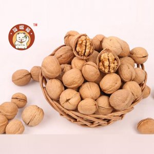 甜嘴貓紙皮核桃