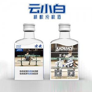 云小白精釀純糧酒yowa系列100ml紙?zhí)卓?>
									<div   id=