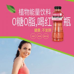 黛勁維生素飲料馬黛茶味紅瓶490ml