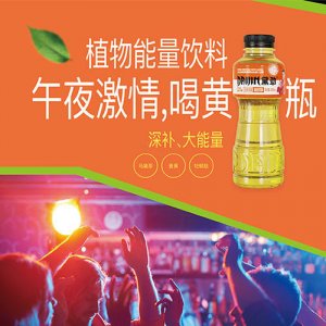 黛勁維生素飲料馬黛茶味黃瓶490ml