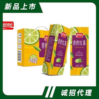 盼盼青檸紅茶夏季茶飲料