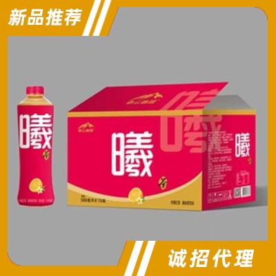 亦云冰川曦檸檬紅茶飲料500毫升×15瓶