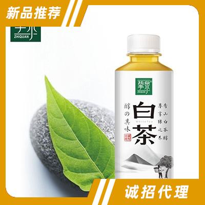 摯泉西柚白茶450ml