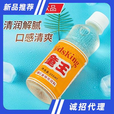 童王維C金銀花飲料255毫升